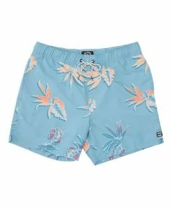 Top 10 🥰 Billabong Blue Haze Leaf Good Times Boardshorts - Boys 👍